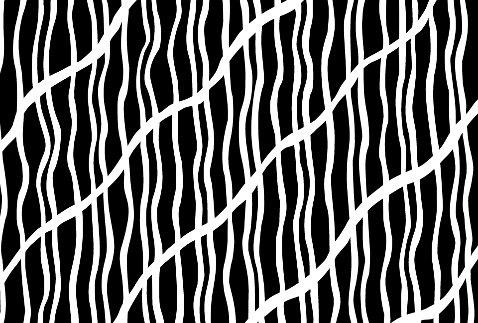 �����_���ɔ��̐���`�������F�̔w�i�f��