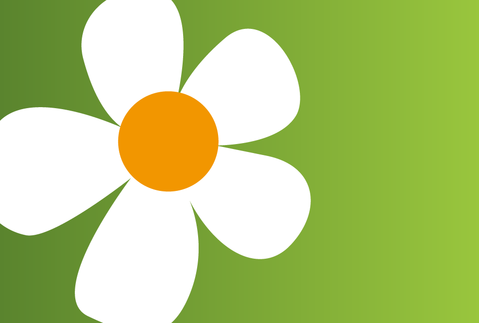 �傫�ȉԂ̃��`�[�t�̎ᑐ�F�̔w�i�f��