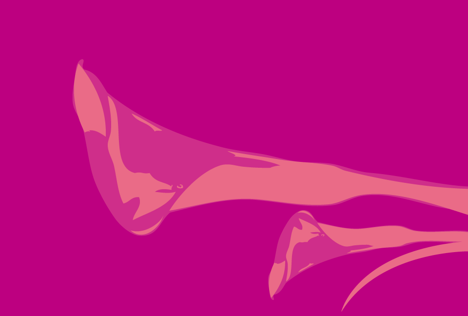 �Ԃ̃J���[�̃V���G�b�g�̃s���N�p�[�v���̔w�i�f��