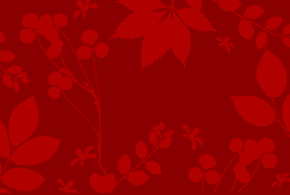 ���؂̃V���G�b�g������[�g�F�̔w�i�f��