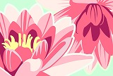 ピンクの花のイラストの背景素材