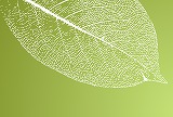 葉っぱのシルエットの緑色の背景素材