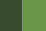 ダークグリーン２色の背景素材