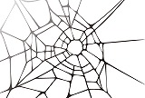 蜘蛛の巣のような白色の背景素材